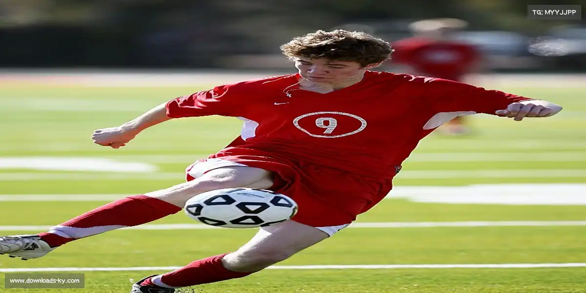 开云官网——🏇🌌 耐力赛夜行,天马巡霄!